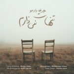 دانلود آهنگ تنهات نمی زارم از علیرضا دادجو (کیفیت 320 و 128)