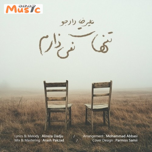 دانلود آهنگ تنهات نمی زارم از علیرضا دادجو (کیفیت 320 و 128)