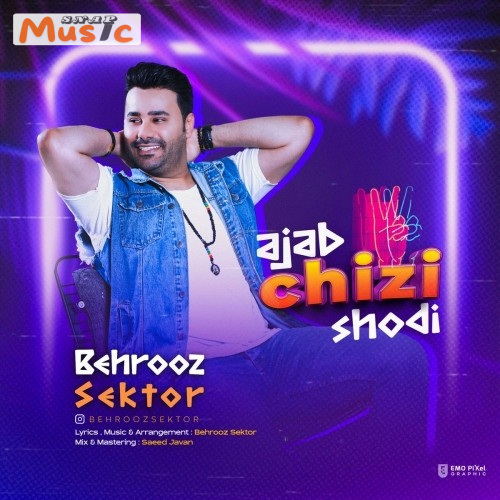 دانلود آهنگ عجب چیزی شدی از بهروز سکتور (کیفیت 320 و 128) + متن آهنگ🎤