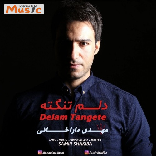 دانلود آهنگ دلم تنگته از مهدی داراخانی (کیفیت 320 و 128) + متن آهنگ🎤