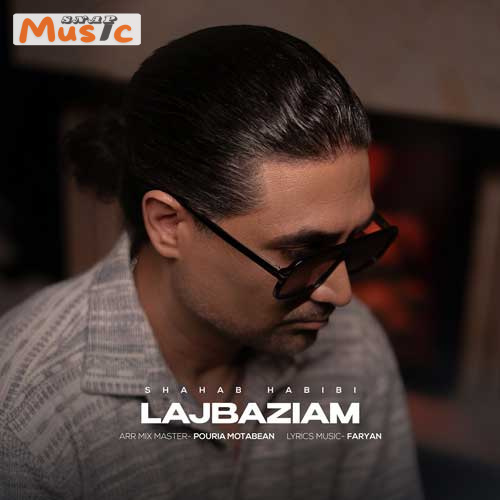 دانلود آهنگ لجبازیام از شهاب حبیبی (کیفیت 320 و 128) + متن آهنگ🎤